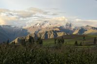 Mais und Hochgebirge (bei Chinchero)