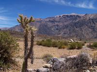 Am Colca-Tal &ndash; &copy; Dirk Schlosser (Eberhardt TRAVEL)