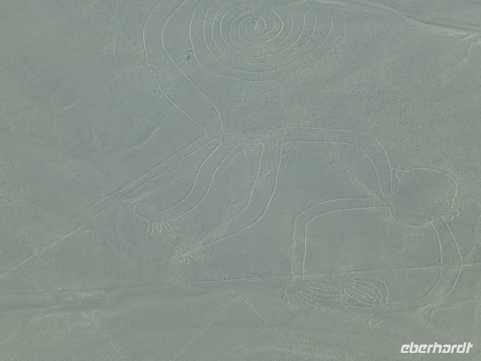 Nazca - Affe &ndash; &copy; Ralf Kuchenbecker (Eberhardt TRAVEL)