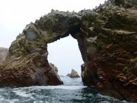 Ballestas Inseln &ndash; &copy; Ralf Kuchenbecker (Eberhardt TRAVEL)