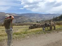 Colca Tal &ndash; &copy; Ralf Kuchenbecker (Eberhardt TRAVEL)