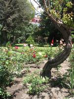 Kloster Santa Catalina in Arequipa &ndash; &copy; Stefanie Knisse (Eberhardt TRAVEL)