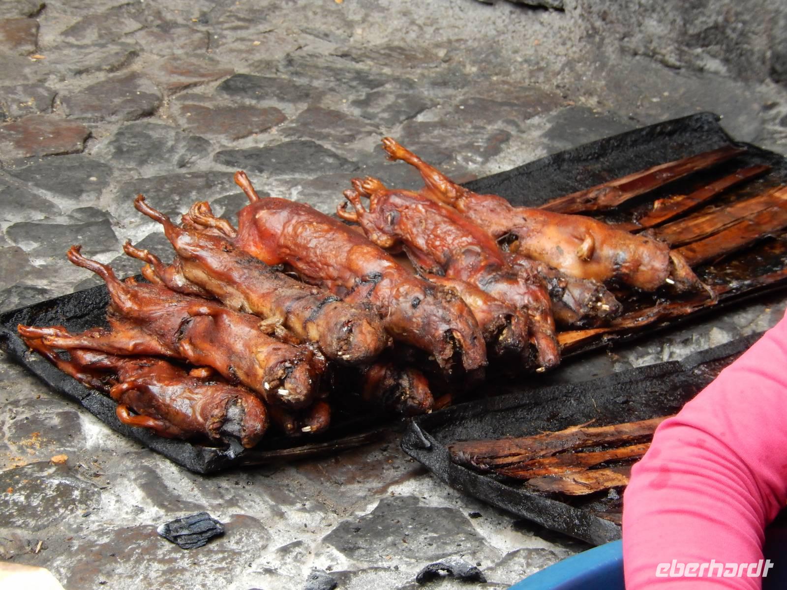176_Meerschweinchen in Pisaq &ndash; &copy; René Wächtler (Eberhardt TRAVEL)