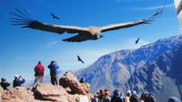 ...schön wär´s - leider nur eine Fotomontage &ndash; &copy; Frank Nimschowski (Eberhardt TRAVEL)