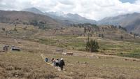 Wanderung im Colcatal &ndash; &copy; Frank Nimschowski (Eberhardt TRAVEL)