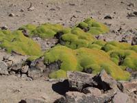 PB080050 &ndash; &copy; Juliane Voigt (Eberhardt TRAVEL)