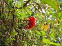 PB140475 &ndash; &copy; Juliane Voigt (Eberhardt TRAVEL)
