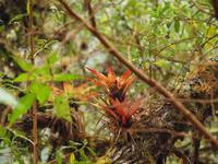 PB140480 &ndash; &copy; Juliane Voigt (Eberhardt TRAVEL)