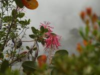 PB140487 &ndash; &copy; Juliane Voigt (Eberhardt TRAVEL)