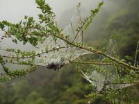 PB150522 &ndash; &copy; Juliane Voigt (Eberhardt TRAVEL)