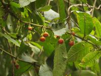 PB150565 &ndash; &copy; Juliane Voigt (Eberhardt TRAVEL)