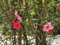 PB150629 &ndash; &copy; Juliane Voigt (Eberhardt TRAVEL)