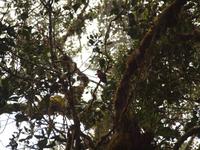 Suchbild ;-) &ndash; &copy; Juliane Voigt (Eberhardt TRAVEL)