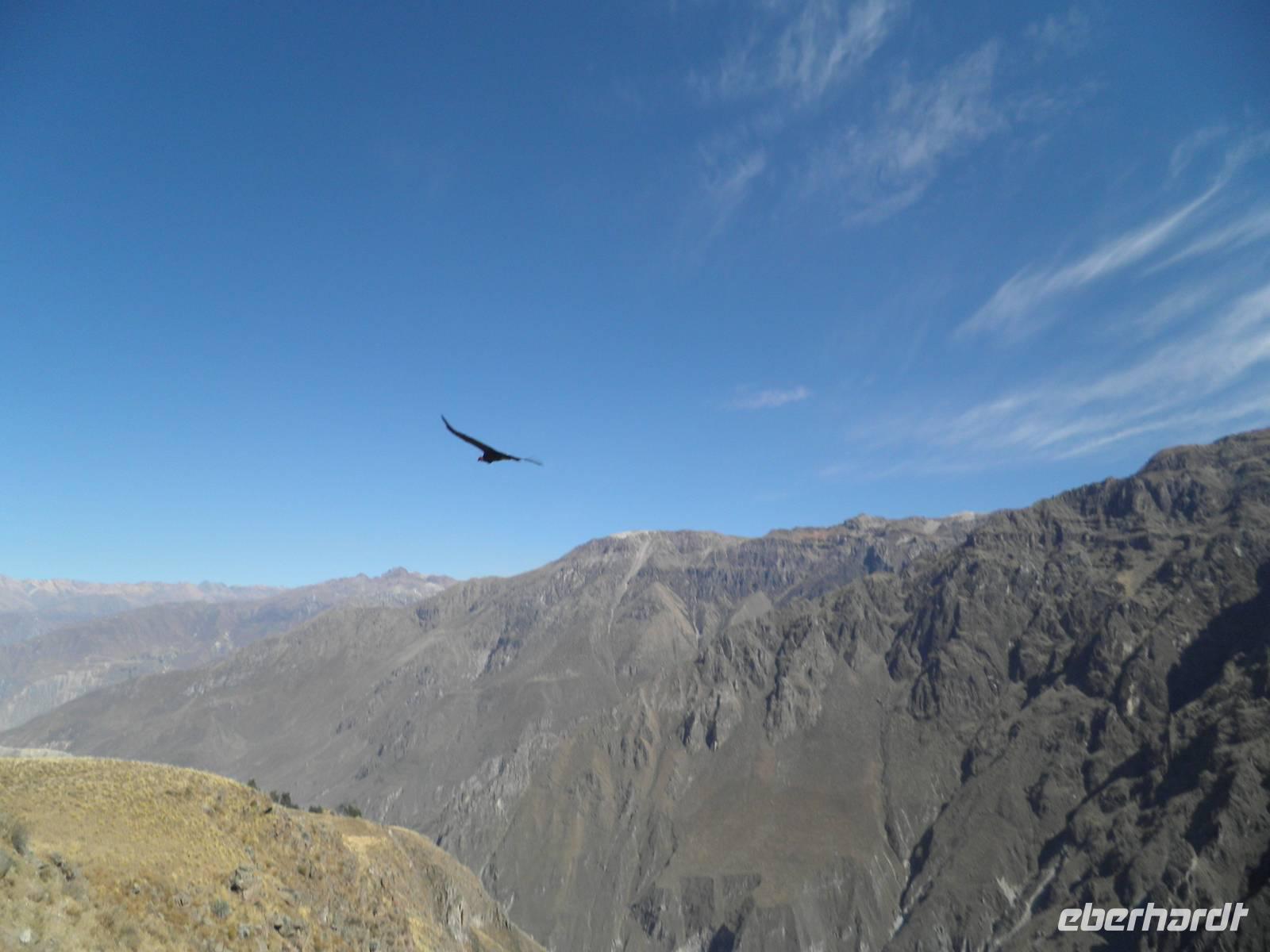 Cruz del Condor &ndash; &copy; Constanze Hölig (Eberhardt TRAVEL)