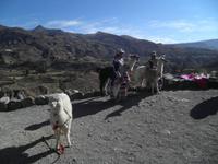 Colca Tal &ndash; &copy; Constanze Hölig (Eberhardt TRAVEL)