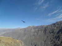 Cruz del Condor &ndash; &copy; Constanze Hölig (Eberhardt TRAVEL)