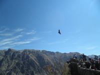 Cruz del Condor &ndash; &copy; Constanze Hölig (Eberhardt TRAVEL)