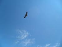 Cruz del Condor &ndash; &copy; Constanze Hölig (Eberhardt TRAVEL)