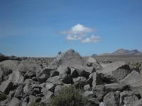 Viscacha &ndash; &copy; Constanze Hölig (Eberhardt TRAVEL)