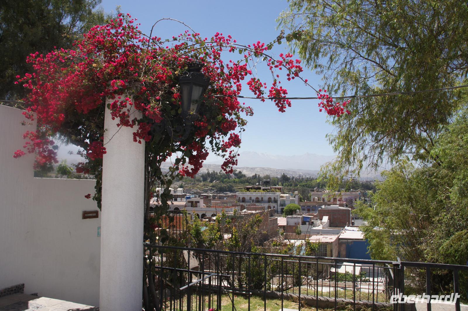 Blick-auf-Arequipa-von-Yanahuara_Peru &ndash; &copy; Maria Drewans (Eberhardt TRAVEL)