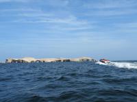 Bootsfahrt-zu-den-Ballestas-Inseln_Paracas_Peru &ndash; &copy; Maria Drewans (Eberhardt TRAVEL)