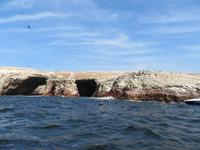 Islas-Ballestas_Paracas_Peru &ndash; &copy; Maria Drewans (Eberhardt TRAVEL)