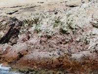 Islas-Ballestas_Paracas_Peru &ndash; &copy; Maria Drewans (Eberhardt TRAVEL)