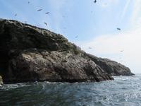 Islas-Ballestas_Paracas_Peru &ndash; &copy; Maria Drewans (Eberhardt TRAVEL)