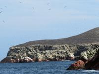 Islas-Ballestas_Paracas_Peru_Vogelschar &ndash; &copy; Maria Drewans (Eberhardt TRAVEL)