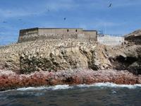Islas-Ballestas_Paracas_Peru &ndash; &copy; Maria Drewans (Eberhardt TRAVEL)