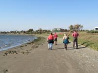 Paracas-Halbinsel_Strandspaziergang &ndash; &copy; Maria Drewans (Eberhardt TRAVEL)