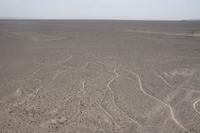 Nasca-Linien_Peru_der-Baum &ndash; &copy; Maria Drewans (Eberhardt TRAVEL)