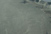 Flug-über-die-Nasca-Linien_der-Kolibri_Peru &ndash; &copy; Maria Drewans (Eberhardt TRAVEL)