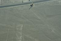 Flug-über-die-Nasca-Linien_Baum-und-Hände_Peru &ndash; &copy; Maria Drewans (Eberhardt TRAVEL)