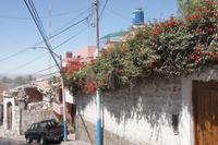 Spaziergang-durch-Yanahuara_Arequipa_Peru &ndash; &copy; Maria Drewans (Eberhardt TRAVEL)