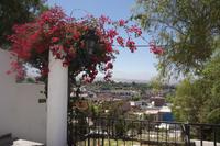 Blick-auf-Arequipa-von-Yanahuara_Peru &ndash; &copy; Maria Drewans (Eberhardt TRAVEL)