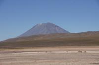 Guanakos-vor-dem-Vulkan-Misti_auf-dem-Weg-von-Arequipa-nach-Puno_Peru &ndash; &copy; Maria Drewans (Eberhardt TRAVEL)