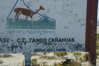 Auf-dem-Weg-von-Arequipa-nach-Puno_Peru &ndash; &copy; Maria Drewans (Eberhardt TRAVEL)