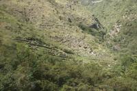 auf-der-Fahrt-von-Ollantaytambo-nach-Aguas-Calientes_Peru &ndash; &copy; Maria Drewans (Eberhardt TRAVEL)