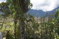 Machu-Picchu_kleiner-botanischer-Garten_Peru &ndash; &copy; Maria Drewans (Eberhardt TRAVEL)
