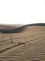 Wüstensafari (6) &ndash; &copy; Laura Wonneberger (Eberhardt TRAVEL)