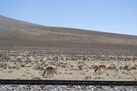 Busfahrt von Arequipa nach Puno (9) &ndash; &copy; Laura Wonneberger (Eberhardt TRAVEL)