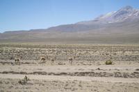 Busfahrt von Arequipa nach Puno (13) &ndash; &copy; Laura Wonneberger (Eberhardt TRAVEL)