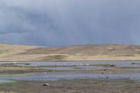 Busfahrt von Arequipa nach Puno (21) &ndash; &copy; Laura Wonneberger (Eberhardt TRAVEL)