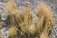 Busfahrt von Arequipa nach Puno (24) &ndash; &copy; Laura Wonneberger (Eberhardt TRAVEL)