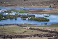 Grabtürme von Sillustani (4) &ndash; &copy; Laura Wonneberger (Eberhardt TRAVEL)