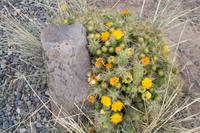 Grabtürme von Sillustani (16) &ndash; &copy; Laura Wonneberger (Eberhardt TRAVEL)