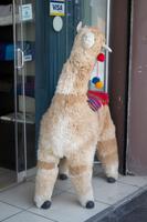 Spaziergang durch Arequipa (20) &ndash; &copy; Laura Wonneberger (Eberhardt TRAVEL)