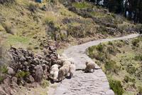 Taquile Insel (26) &ndash; &copy; Laura Wonneberger (Eberhardt TRAVEL)
