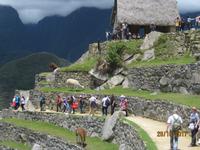 227_Besuch von Machu Picchu &ndash; &copy; Johanna Schilling (Eberhardt TRAVEL)